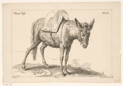 Muilezel