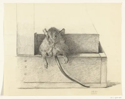 Muis (in een val?)