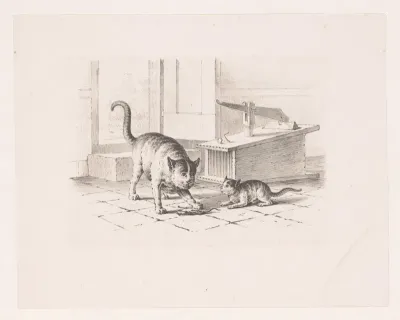Muizenval en twee katten