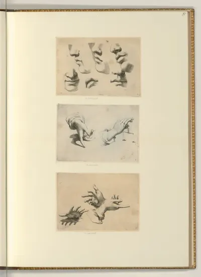 Mund- und Handstudien