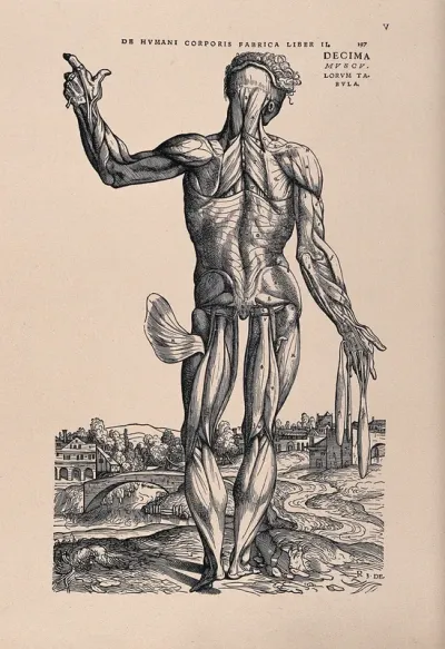 Muscle man, in a landscape, seen from the back