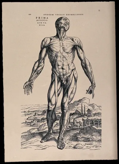Muscleman, in a landscape, seen from the front