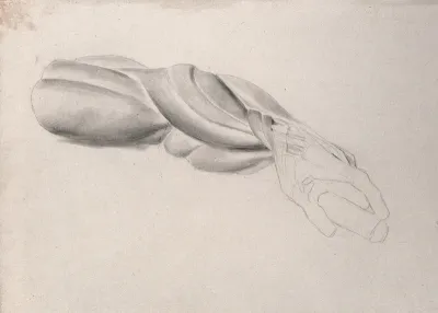 Muscles of the arm and hand, shown in a similar pose to that of the 'Borghese Gladiator' by Agasias of Ephesus