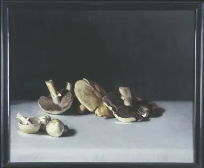 Mushrooms