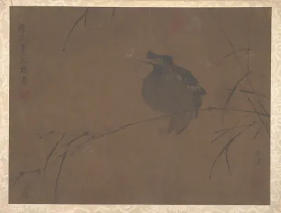 Mynah on Reed
