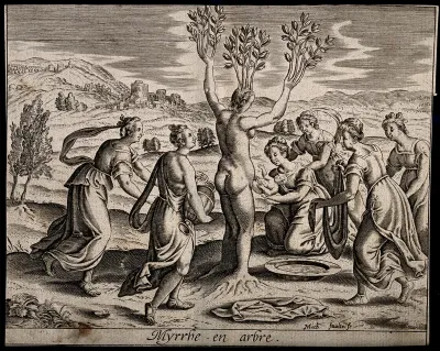 Myrrha, being transformed into the myrrh tree, gives birth to Adonis