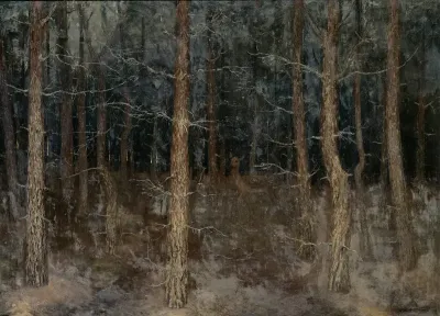'Mystieke paden': bosgezicht