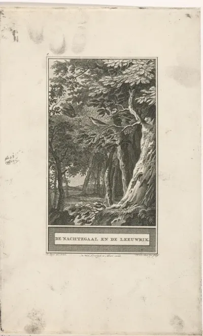 Nachtegaal en een leeuwerik in het bos