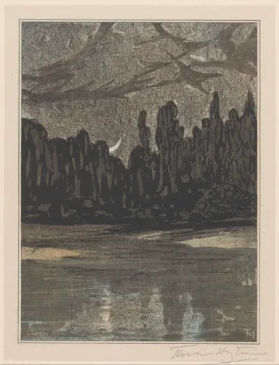 Nachtelijk landschap met trekvogels