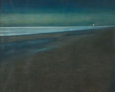 Nachtelijk strandgezicht