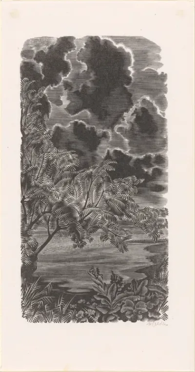 Nachtlandschap