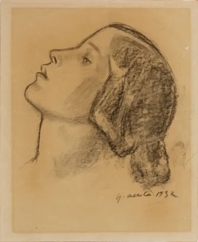 Naisen pää (Heidi Blåfield)