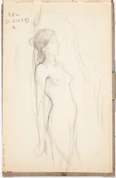 Naked Female Model