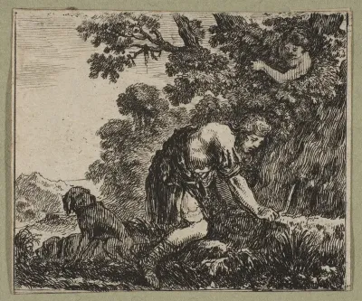 Narcisse