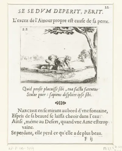 Narcissus