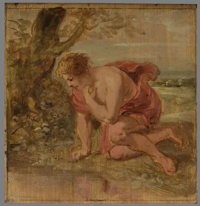 Narcissus