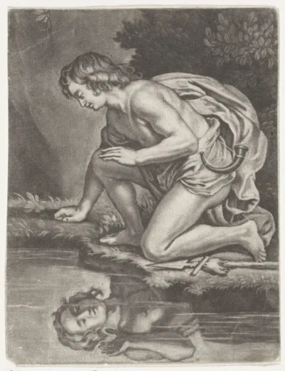 Narcissus