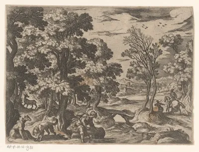 Narcissus
