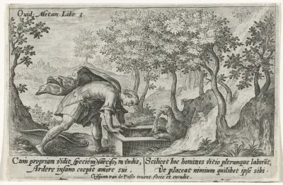 Narcissus