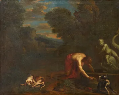 Narcissus