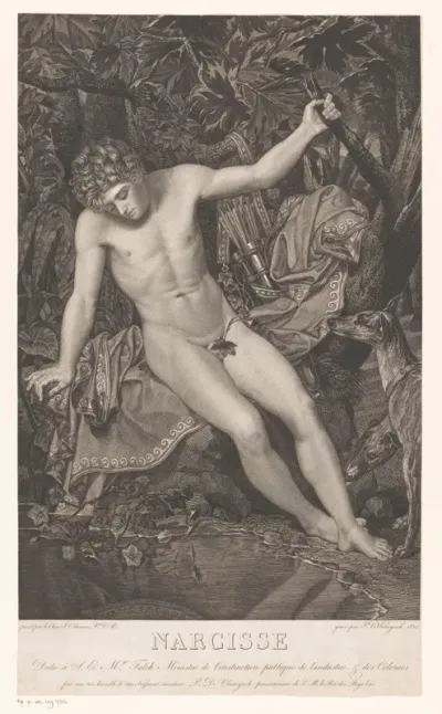 Narcissus aan de waterkant
