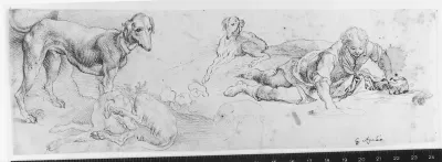 Narcissus (?) med tre hunde