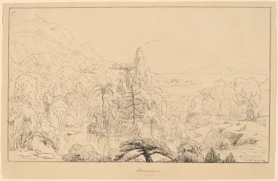 Narcissus (recto)