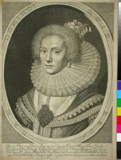 Nassaun kreivitär Amalia