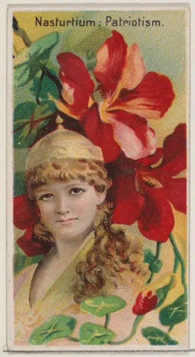 Nasturtium: Patriotism, from the series Floral Beauties and Language of Flowers (N75) for Duke brand cigarettes