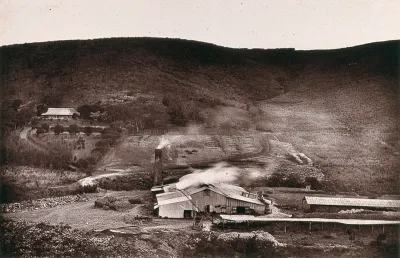 Natal, South Africa: a sugar mill and plantation in Umzinto