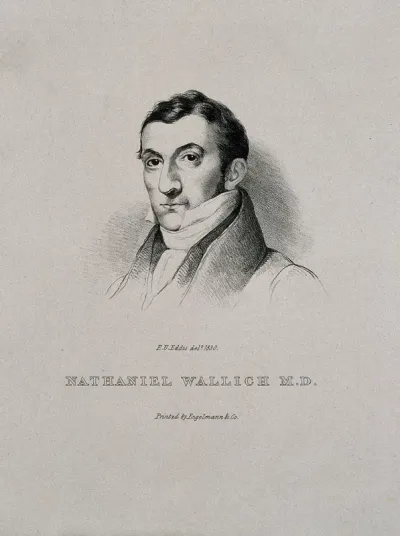 Nathaniel Wallich