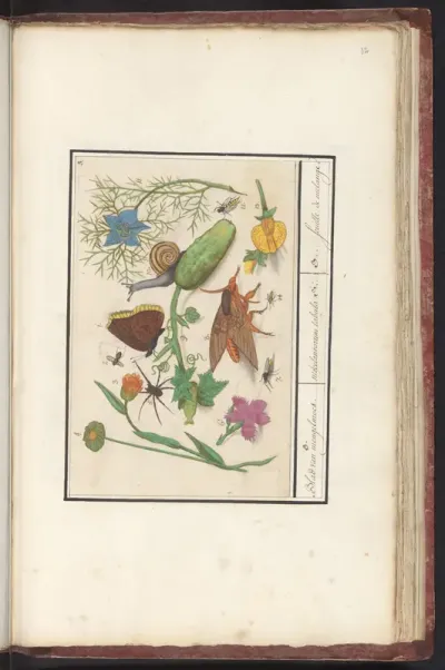Natuurhistorisch ensemble (nr. 3)