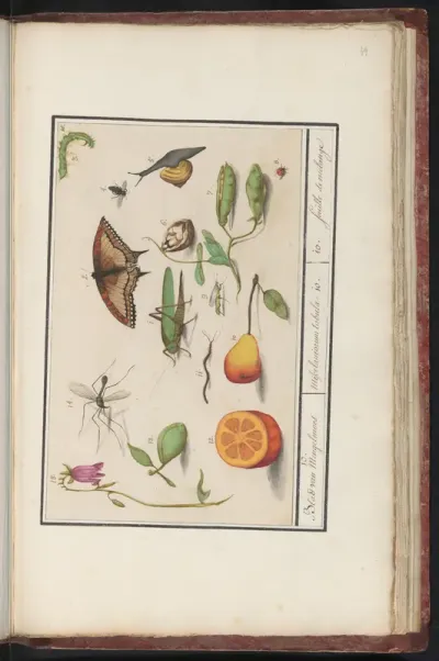 Natuurhistorische ensemble (nr. 10)