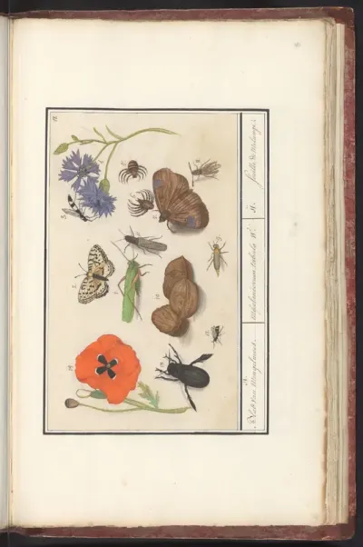 Natuurhistorische ensemble (nr. 11)