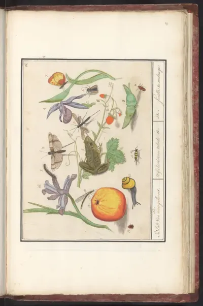 Natuurhistorische ensemble (nr. 12)