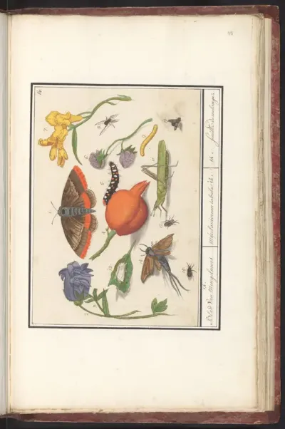 Natuurhistorische ensemble (nr. 14)