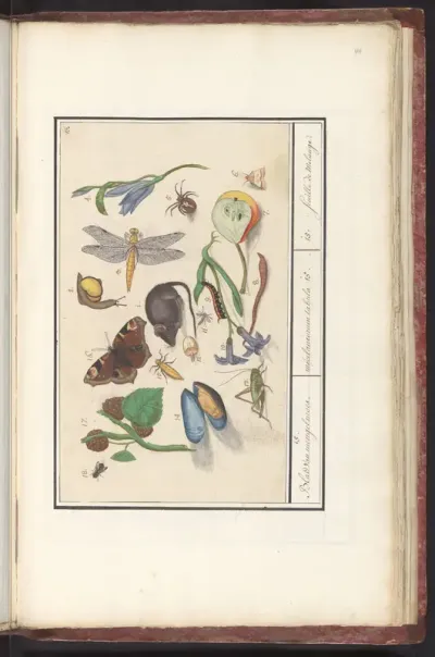 Natuurhistorische ensemble (nr. 15)