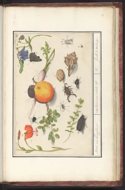 Natuurhistorische ensemble (nr. 16)