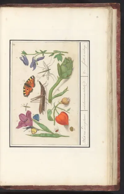 Natuurhistorische ensemble (nr. 17)