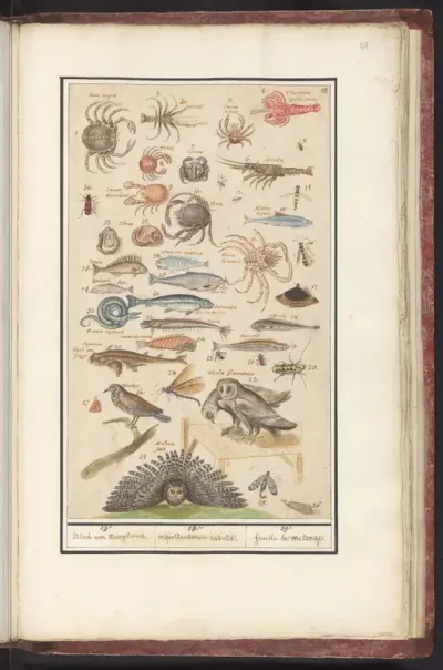 Natuurhistorische ensemble (nr. 19)