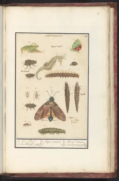 Natuurhistorische ensemble (nr. 20)