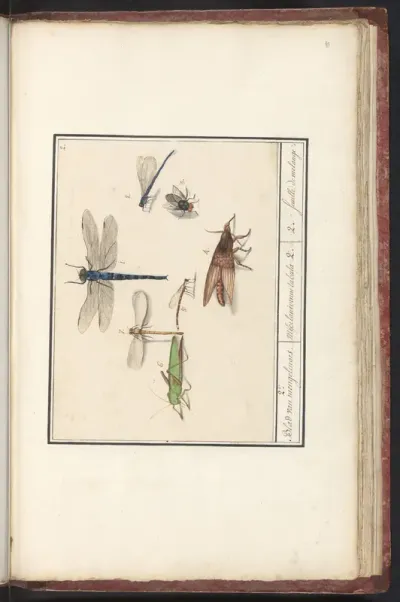 Natuurhistorische ensemble (nr. 2)