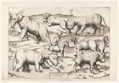 Negen dieren
