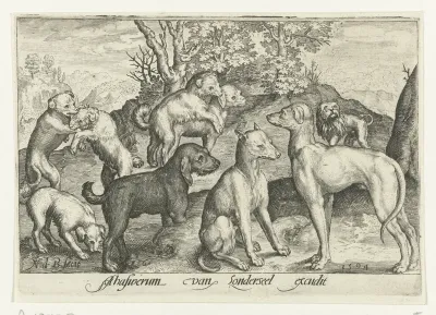 Negen honden