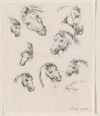 Negen paardenhoofden