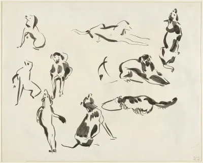 Negen studies van een hond