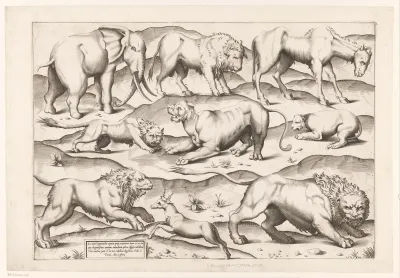 Negen wilde dieren