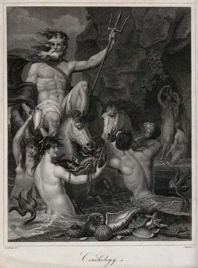 Neptune surrounded by Triton and sea-nymphs is presented with the fruits of the sea; representing conchology
