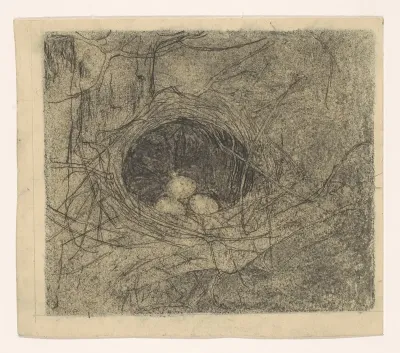 Nest met drie eieren