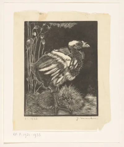 Nestkuiken